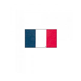 FLAG FRANCE cm. 20x30