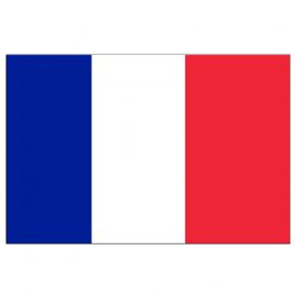 Pavillon national - France - 100 x 150 cm