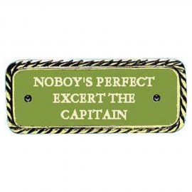 Plaque bronze ''Nobody's perfect''